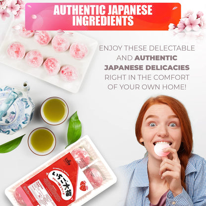 Fusion Select Japanese Mochi