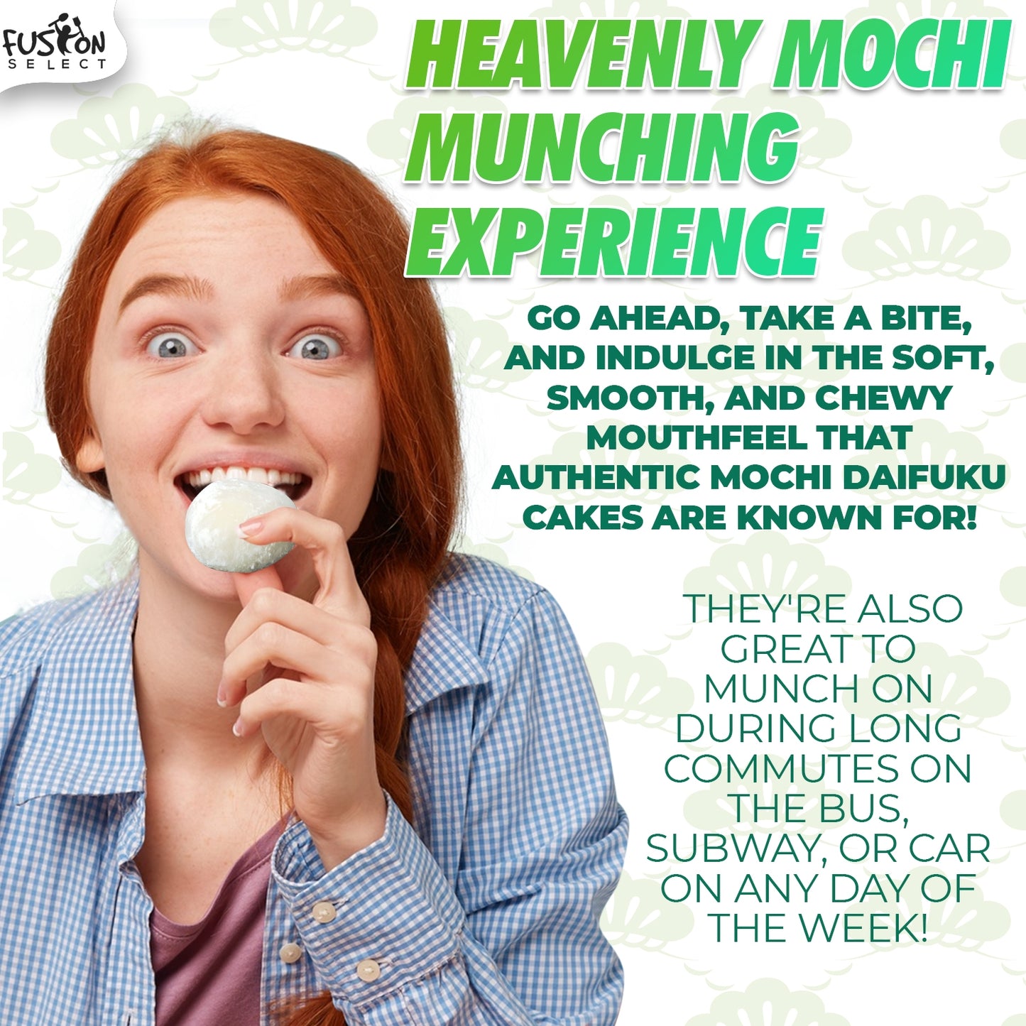 Japanese Mochi 8 Variety Pack