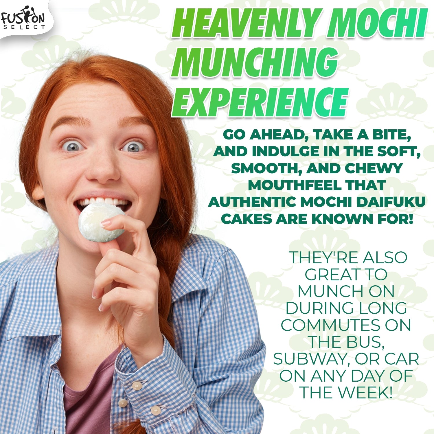 Japanese Mochi 8 Variety Pack