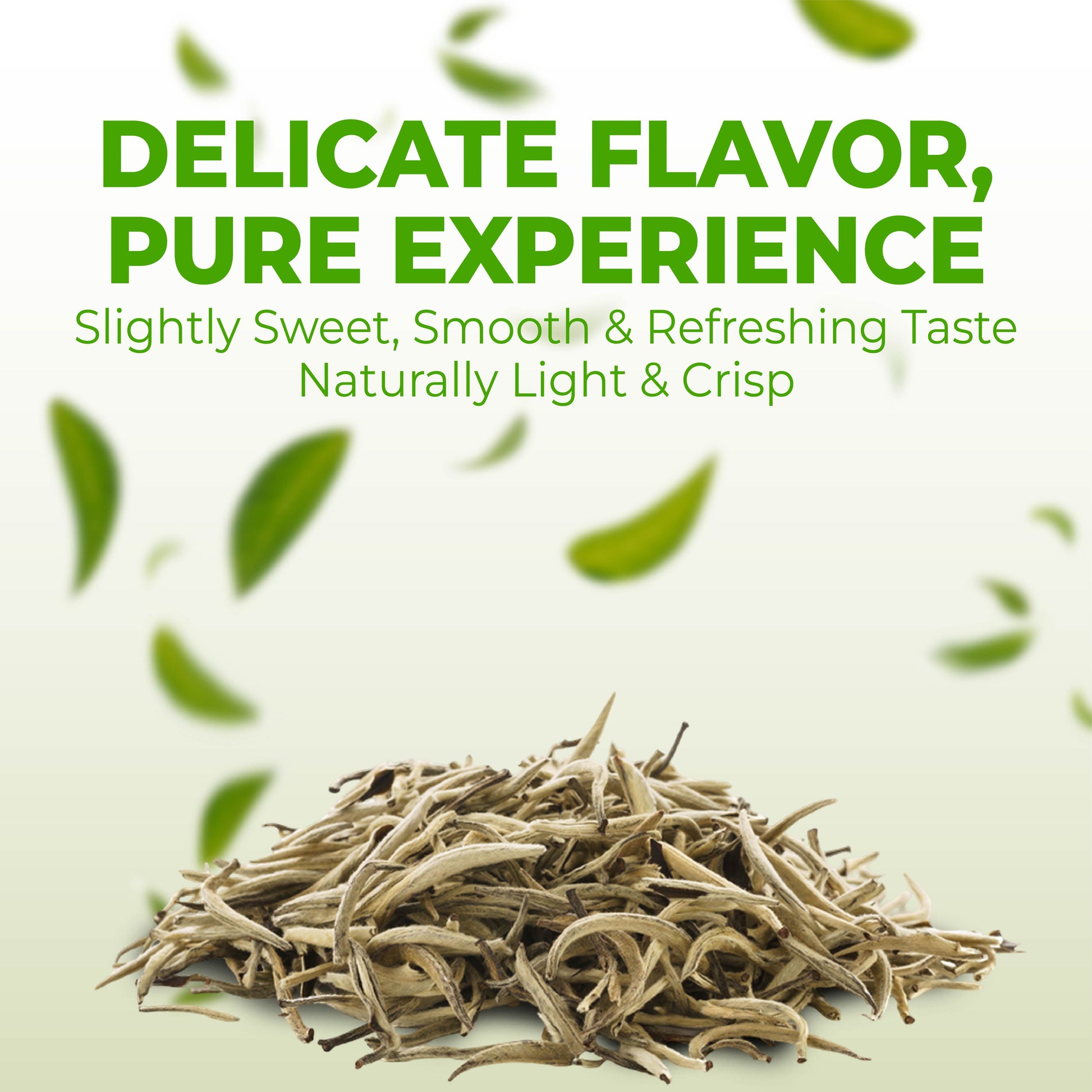 Fusion Select 100% Organic White Tea